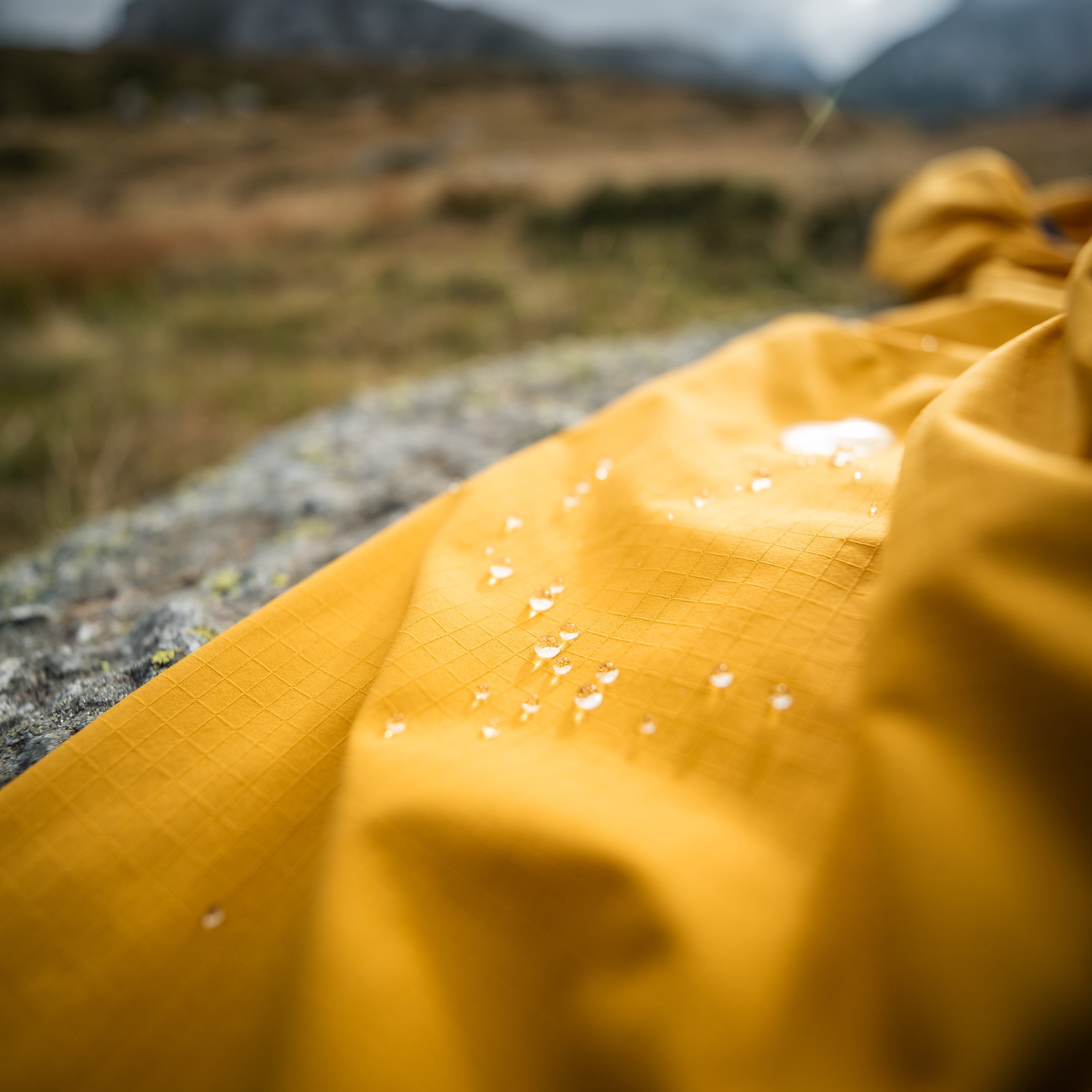 Bild Text Platzhalter