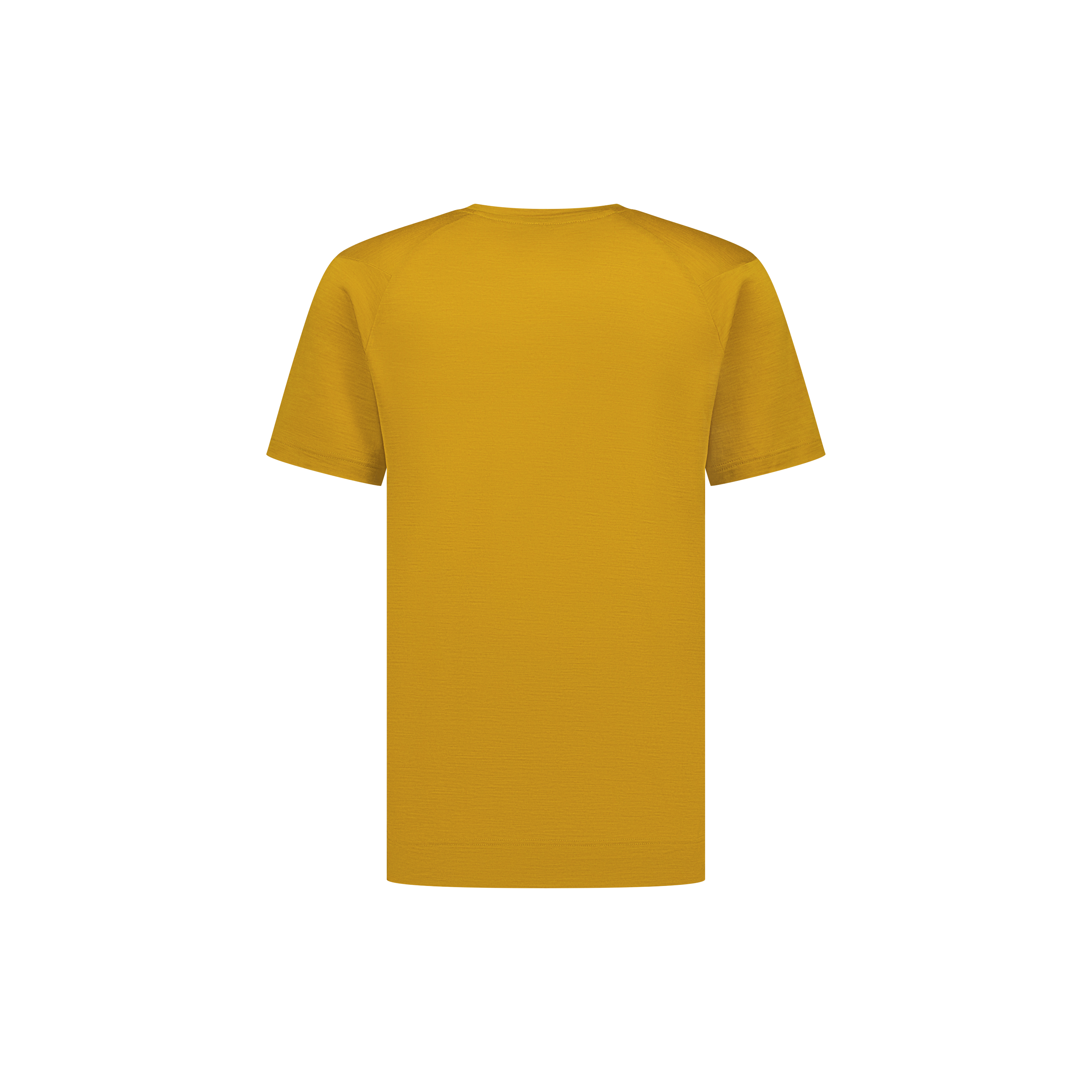 Eco Merino T170, T-Shirt Men