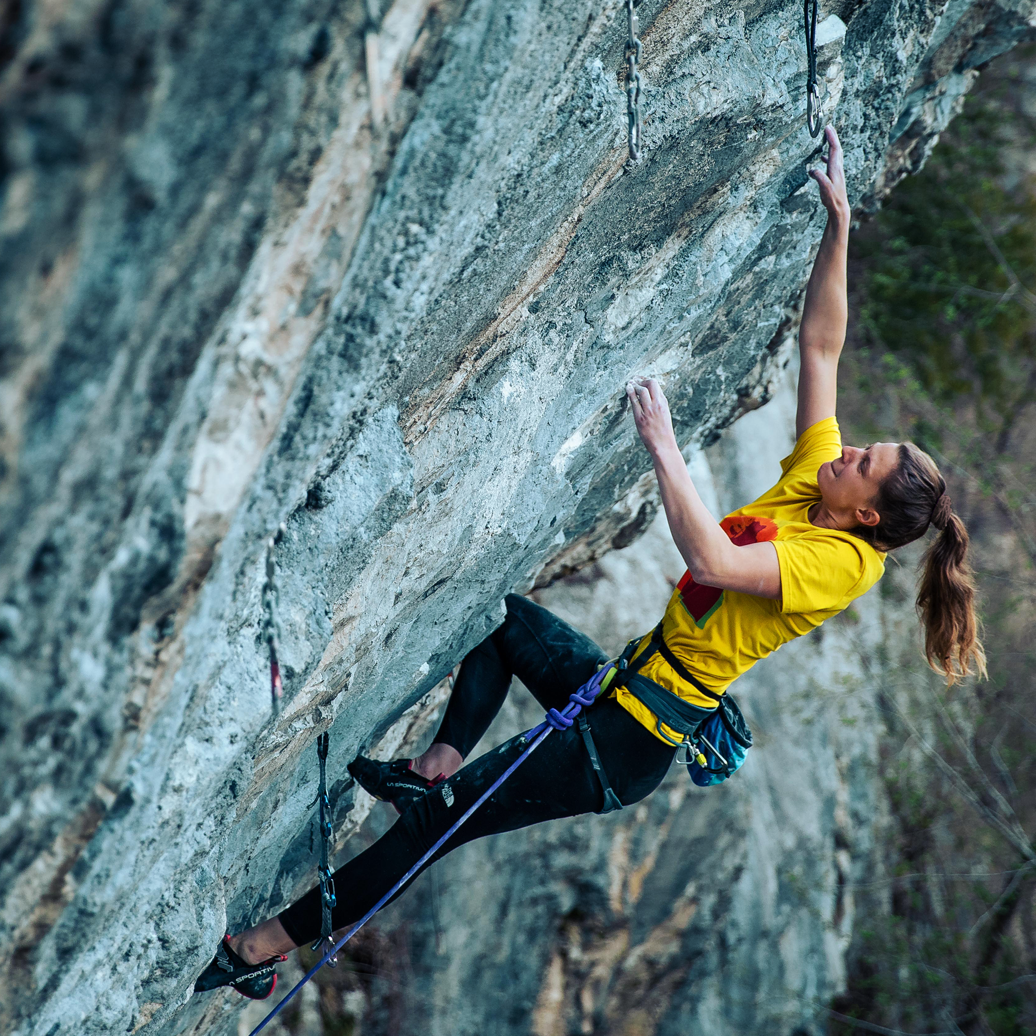 Swiss Cotton, T-Shirt Collab Women